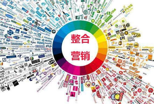 問答營銷實戰(zhàn)指南 高效策略征服百度知道，引爆網(wǎng)絡(luò)推廣效果