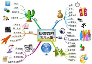 石家莊網(wǎng)絡(luò)推廣培訓(xùn) 從技巧學(xué)習(xí)到產(chǎn)品銷售的有效閉環(huán)